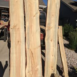 Blue Stain Pine Live Edge Slabs
