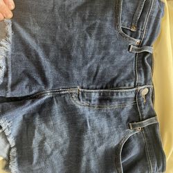 Women's High Rise Shorts