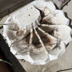 Pool shell number 2