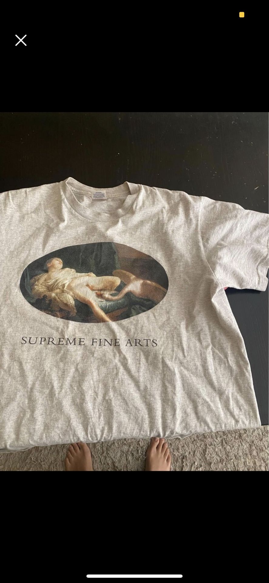 Supreme Shirt  [Fine Arts] 