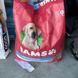 Dog Food