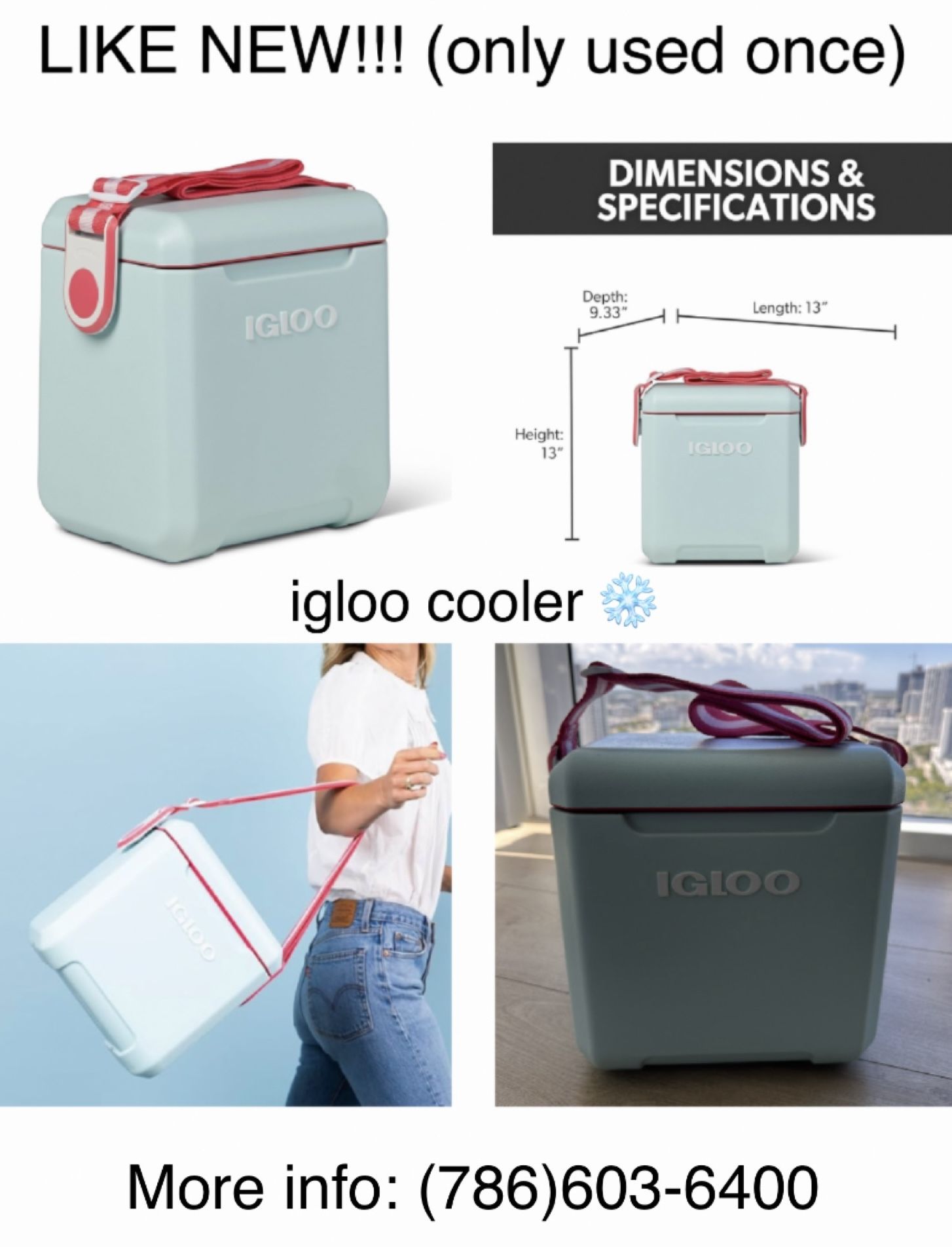 Igloo Cooler
