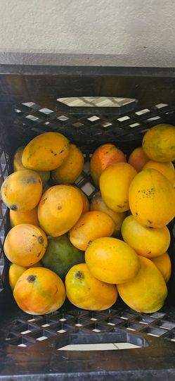 Mangos