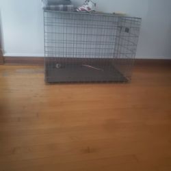 Dog Crate