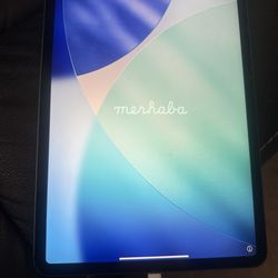 iPad Pro 11" 256GB Cellular