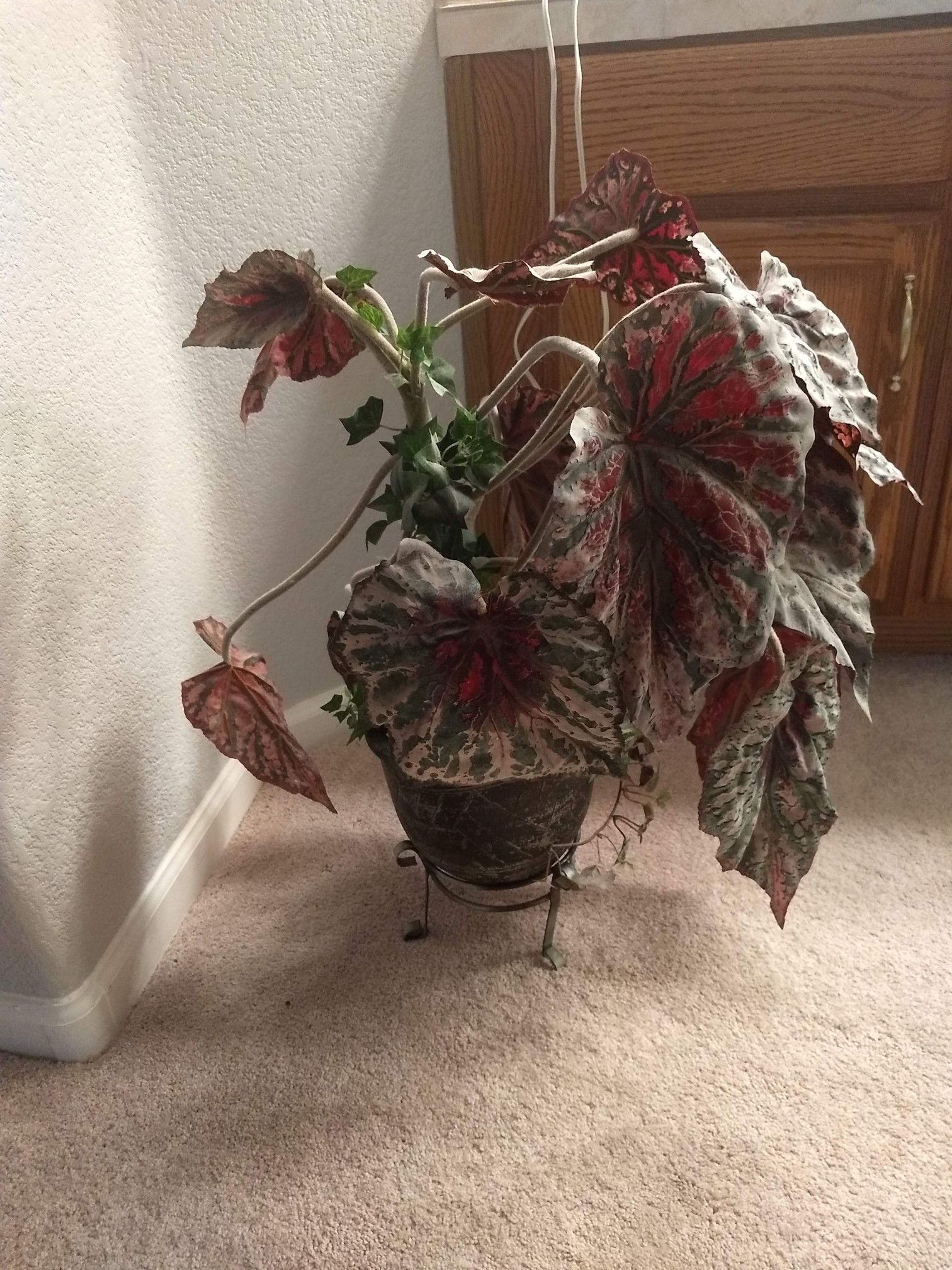 Room decor leaf plant with ceramic pot