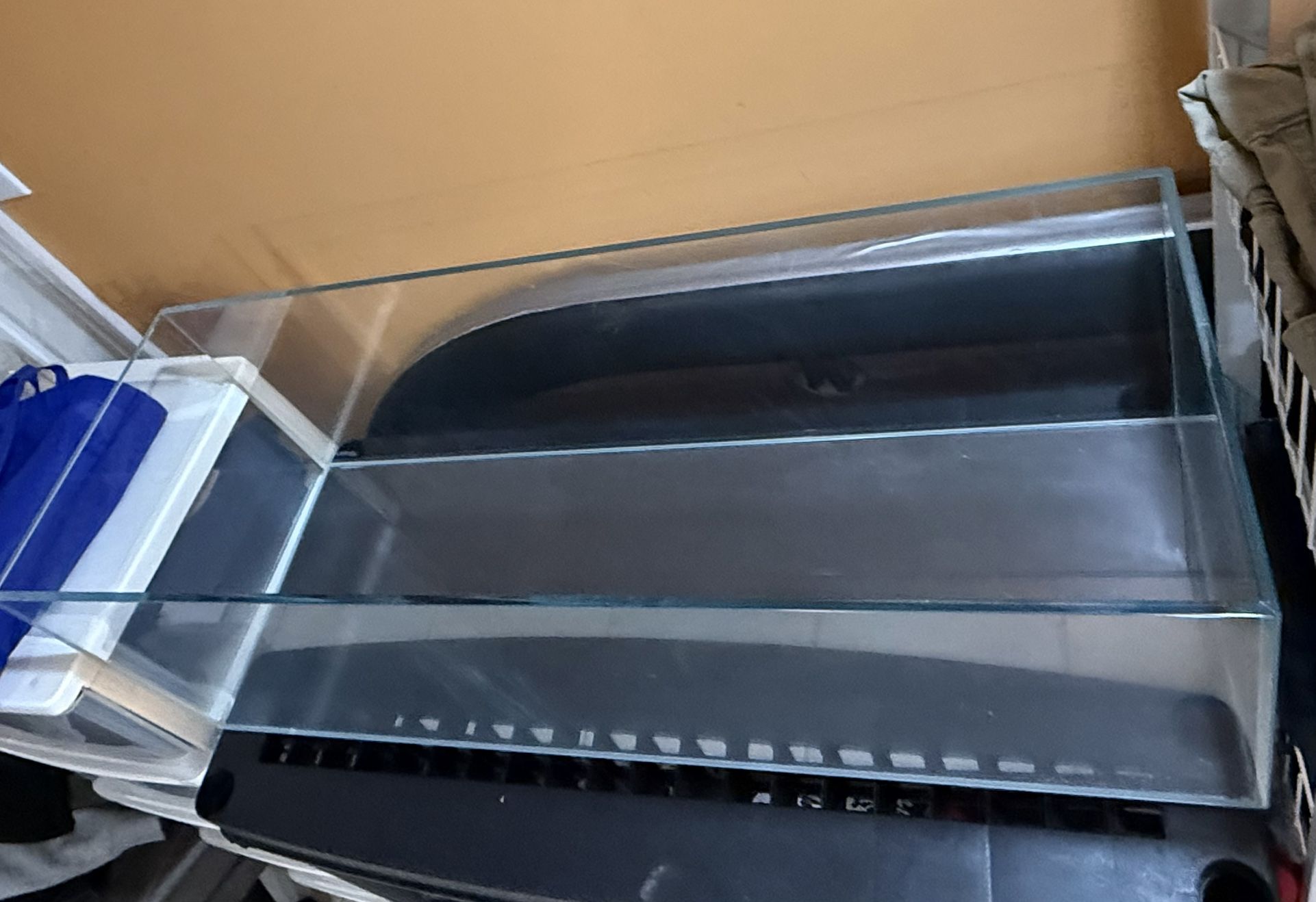 20 gallon tank