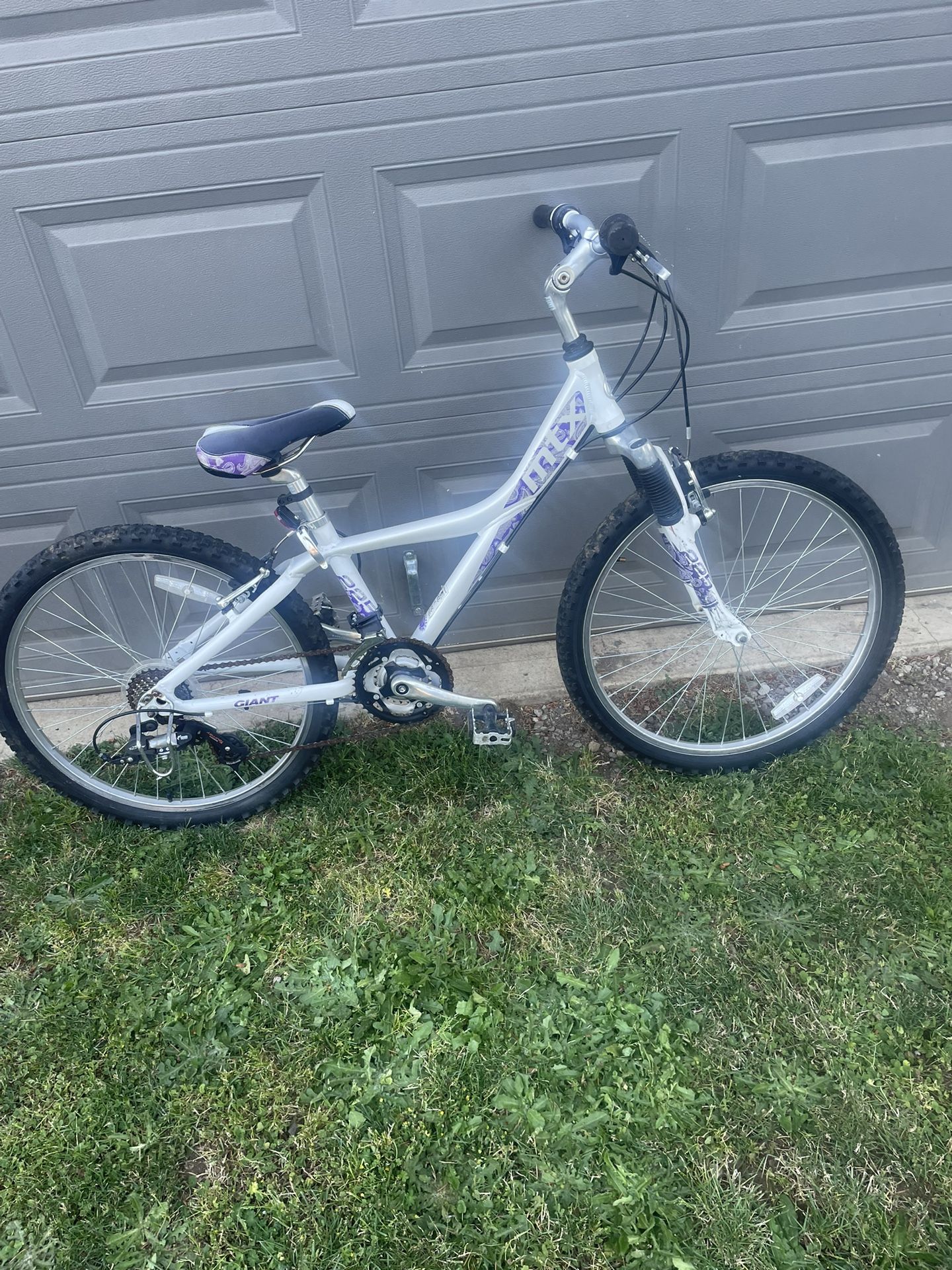 24” Bike