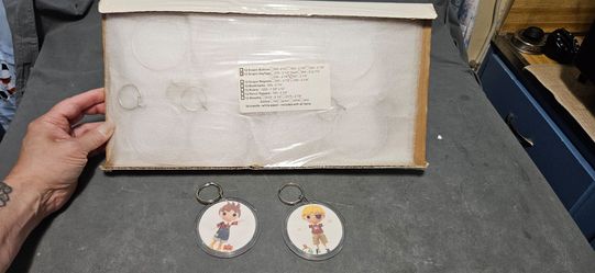 12-Pack Snapin KeyTags 2 1/4"