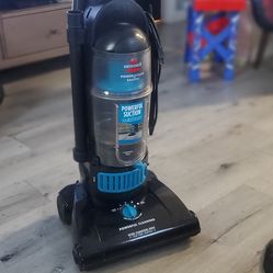 Bissell Powergroom Bagless