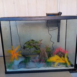Fish Tank 