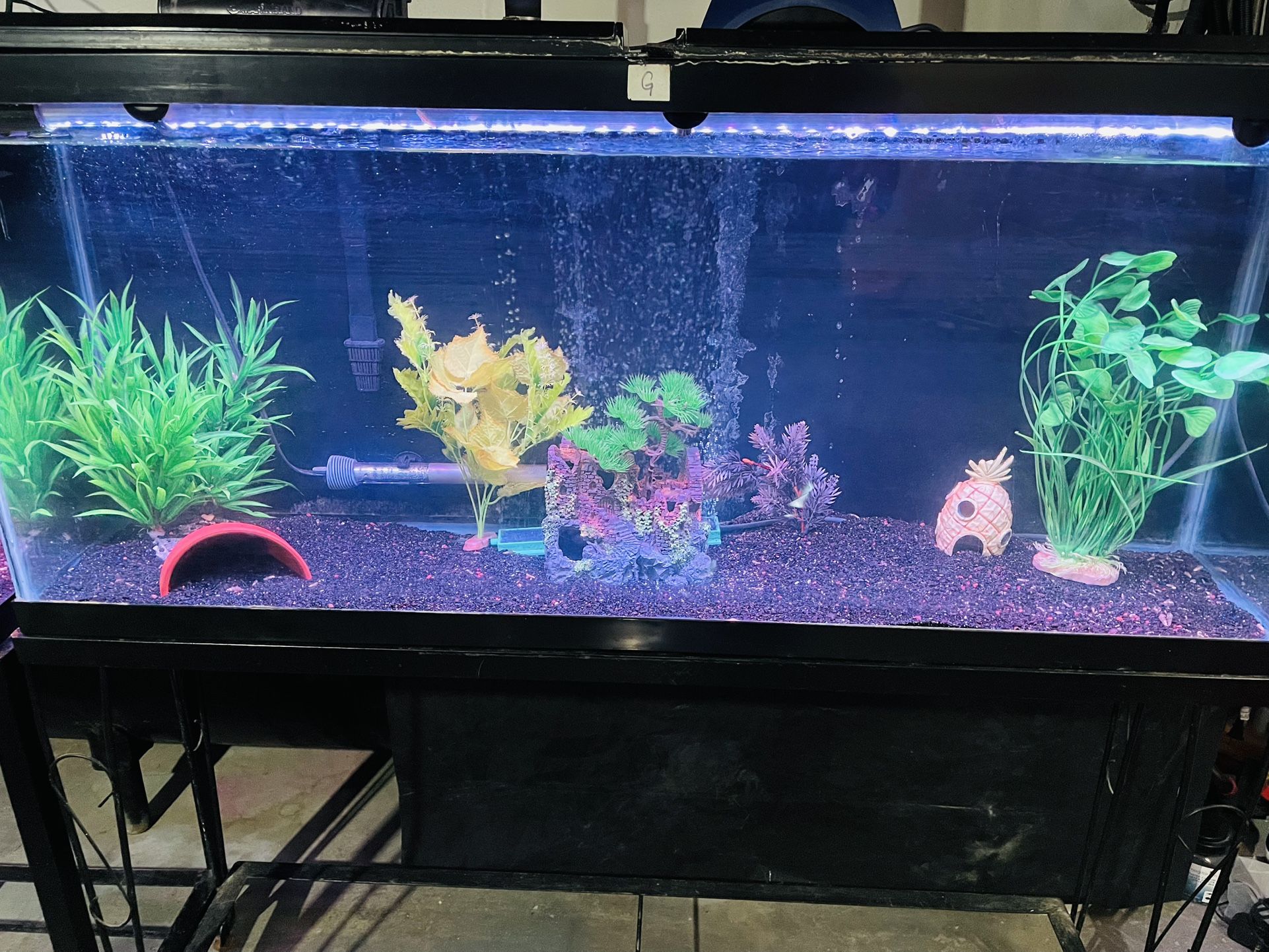 Fish Tank