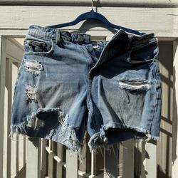 Levi Shorts 29W