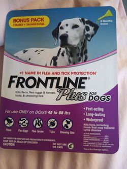 Flea and Tick protection for dogs
