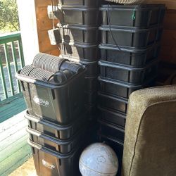 Current Culture System Custom (DWC SYSTEM)