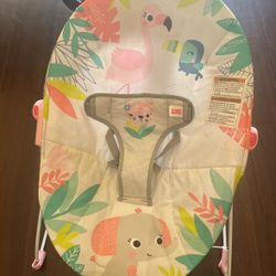 Baby Bouncer