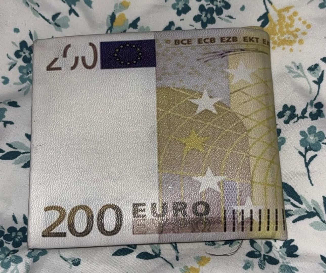 Novelty Euro Wallet