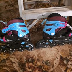 Adjustable Roller Blades