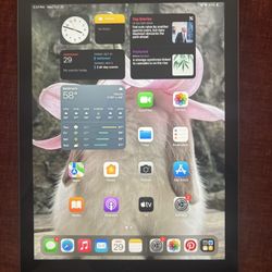 iPad 6th Gen 32 GB
