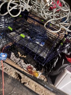 Crab trap