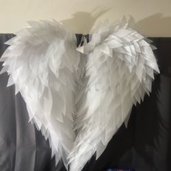 Halloween Costume Wings