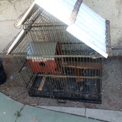 Bird Cage 