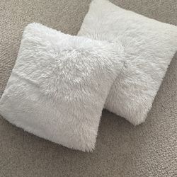 2 White Pillows