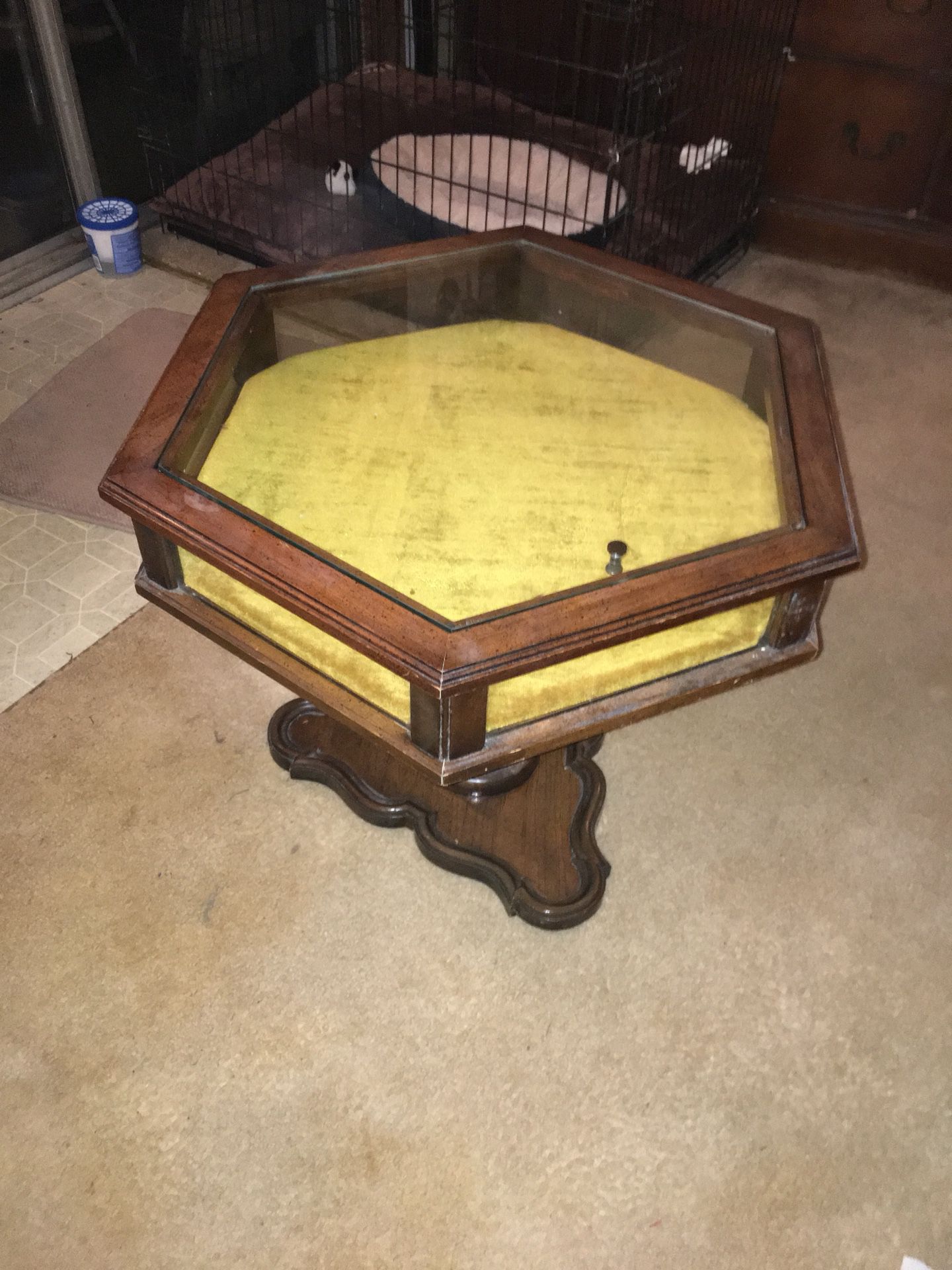 Display case coffee table/ end table
