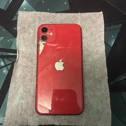 iPhone 11 with case