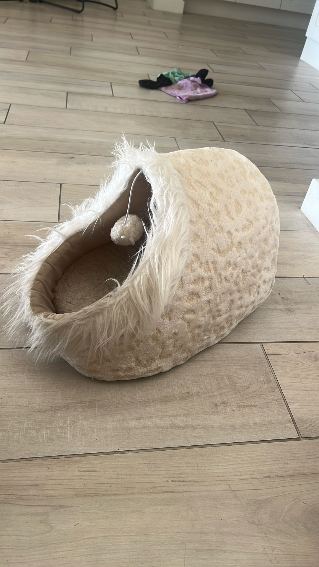 CAT BED / foldable enclosure