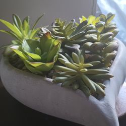 Heart Shaped Indoor W/Artificial Succulents 