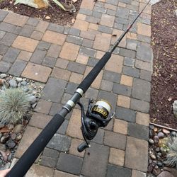 Daiwa BG 5000 Seeker Salt Water Fishing Combo. 