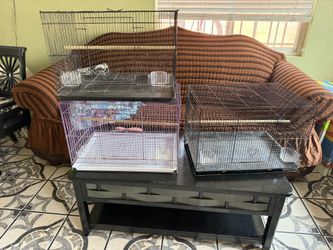 Jaulas Para Pájaros