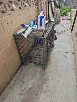 Large Animal Crate