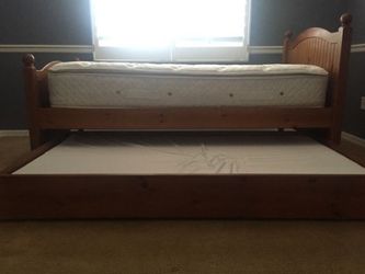 Catalina trundle 2024