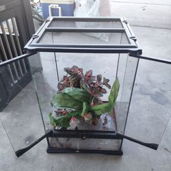 Terra Tank