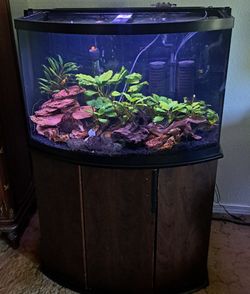 Fish Tank 40 Gallon Glass Bow Front