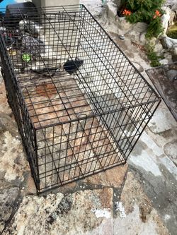Pet cage collapsible