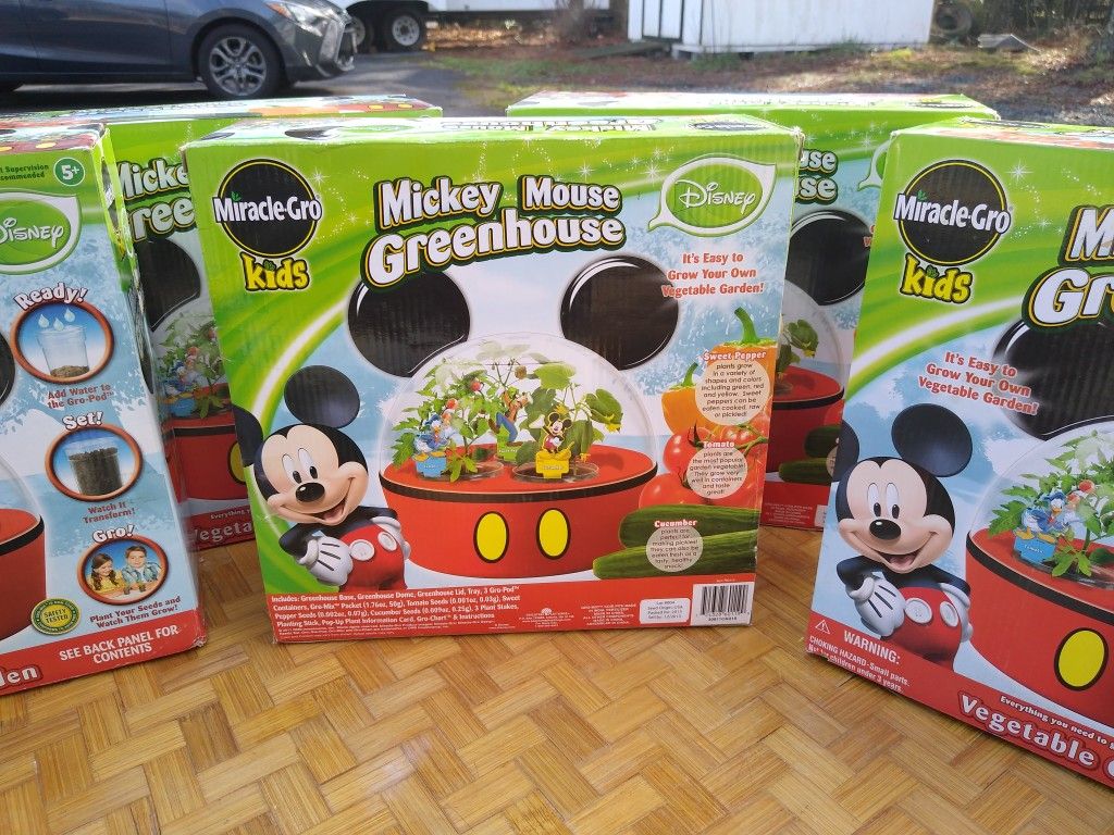Walt Disney World Epcot Mickey Mouse Greenhouse