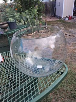 Bubble ball floral glass Vase or Fish Bowl