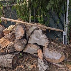 Free Firewood