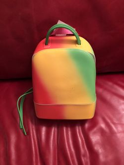 Jelly Multi Colored Back Pack
