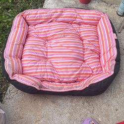 Dog Bed