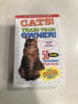 Fun cat cards