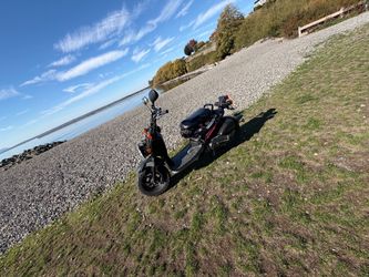 Honda ruckus
