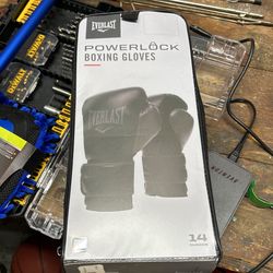 Everlast Powerlock Boxing Gloves