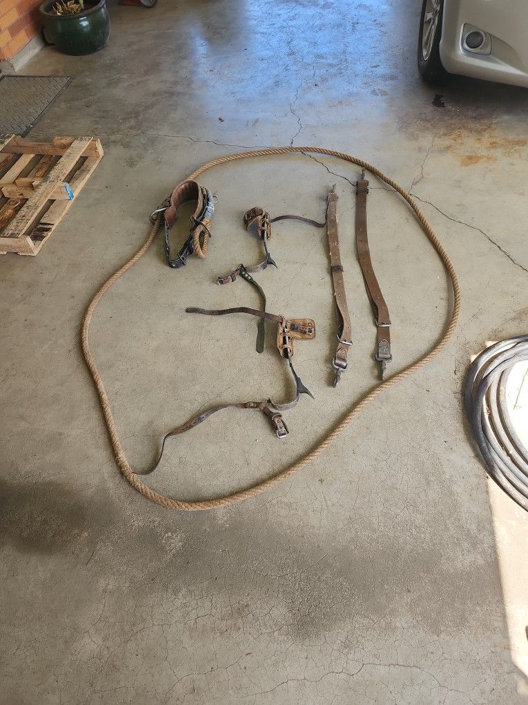 Tree Trimming Equipment