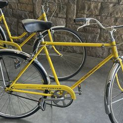 Schwinn Cruiser Bicycles