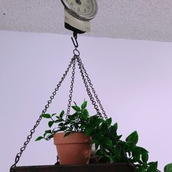 Brand New In Box Decorative Hanging Clock With Tray 
