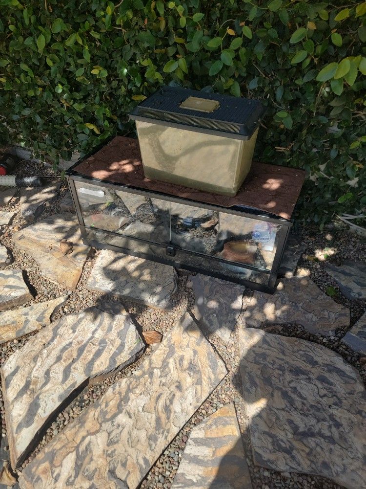 Free Reptile Tank
